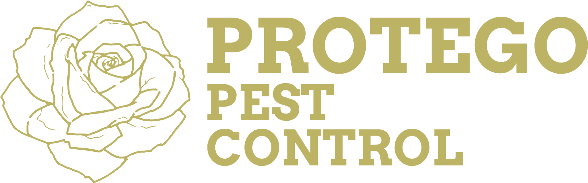 protego pest control tonbridge kent